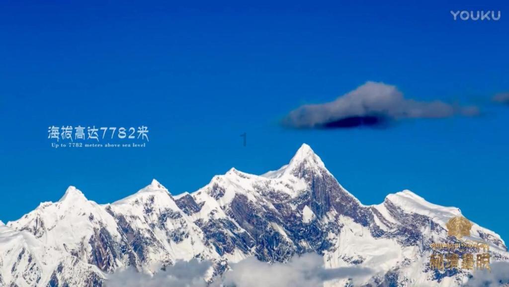 探索天涯,畅聊问答——头条发视频怎么赚钱交流平台