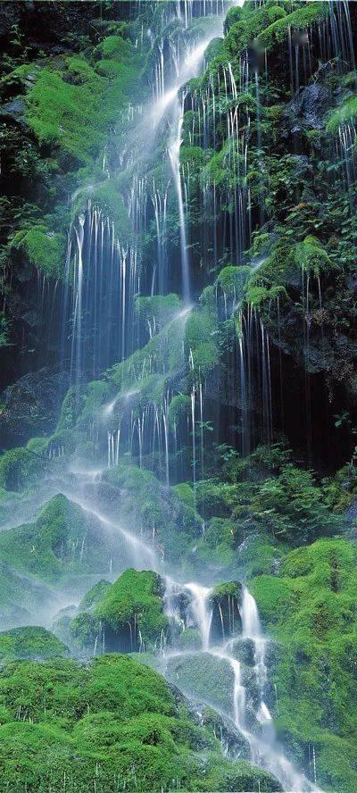 春雨直播app