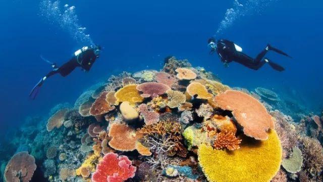 探索豪爵新悦星125踏板摩托车有没有危险警报灯?,解锁更多精彩